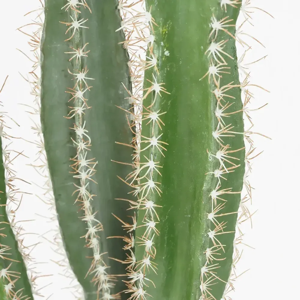 Décorations florales - Cactus artificiel en pot plastique noir - 2 modèles - LIGNE DÉCO