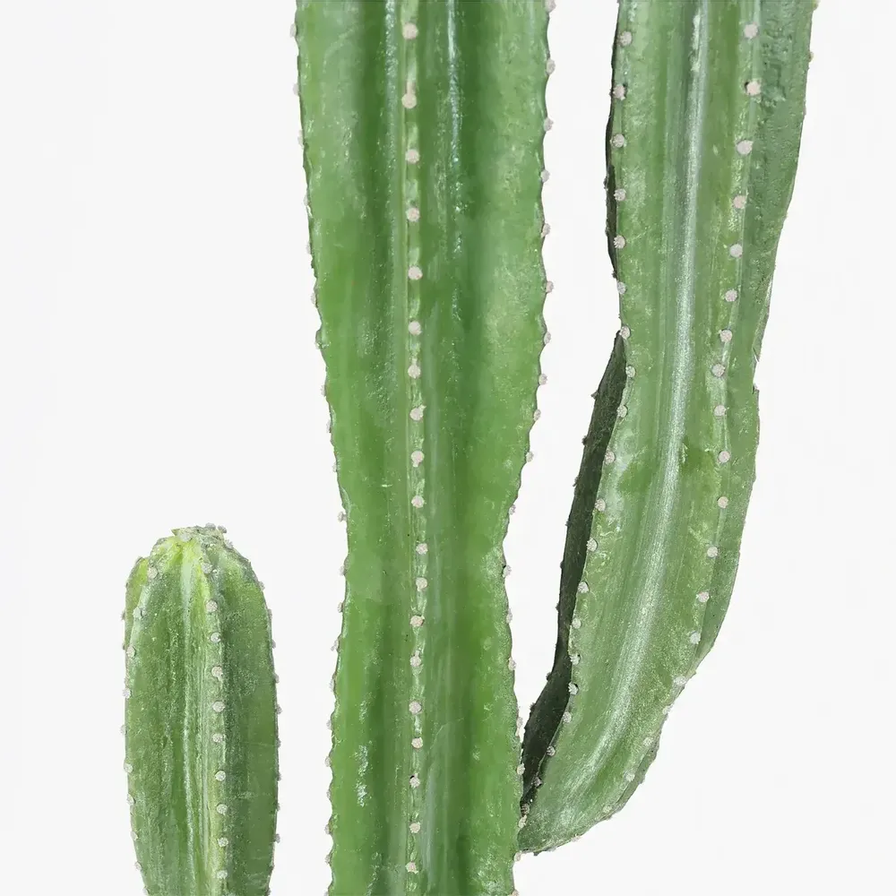 Décorations florales - Cactus artificiel en pot plastique noir - 2 modèles - LIGNE DÉCO