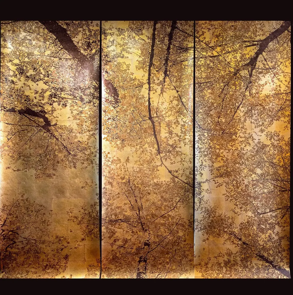 Papiers peints - Cimes - ULGADOR