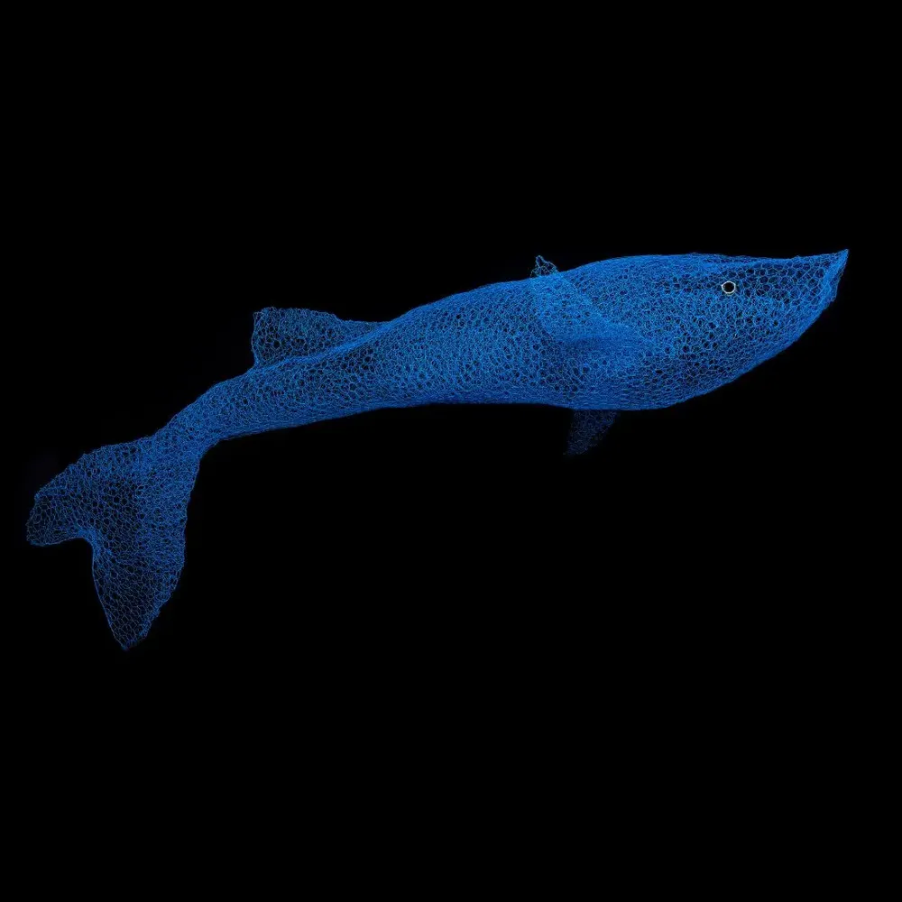 Spa - The Call of the Sea - Cetaceans and Sharks - ODILE MOULIN SCULPTURES