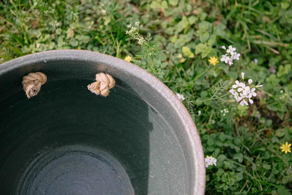 Ceramic - The Basket - SALT CERAMICS