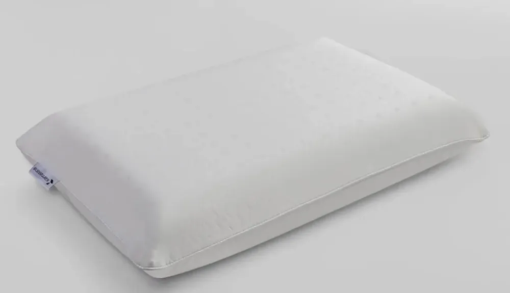 Literie pour hôtels - Coussin viscoélastique Arctic à effet rafraîchissant 40x80 blanc - KAMASANA