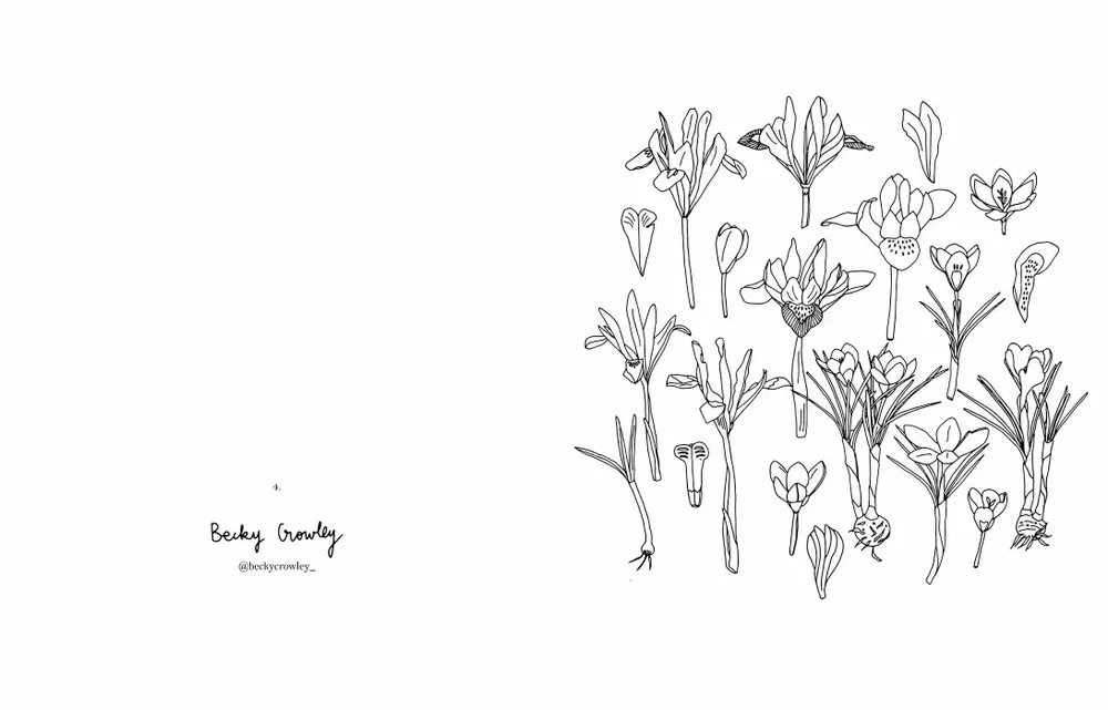 Papeterie - cahiers de coloriage - HACHETTE LIVRE