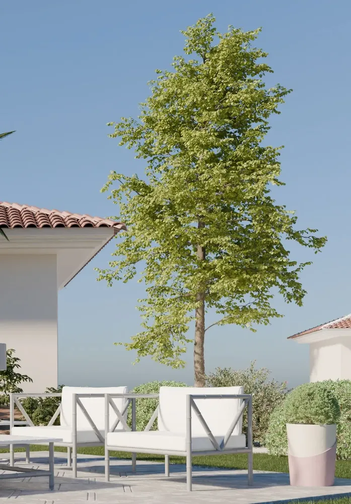 Lawn chairs - Fauteuil en fer forgé style bambou - GUADARTE