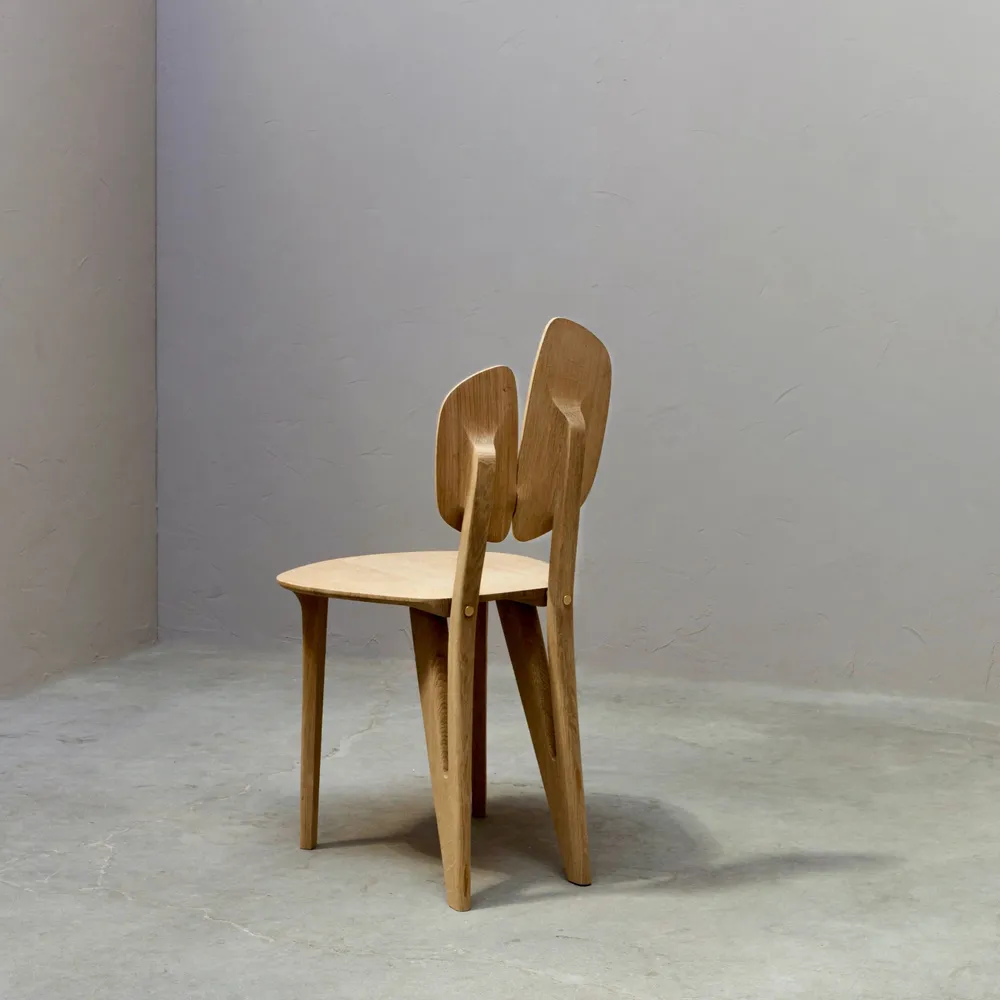 Chairs - Petiole chair - ANNE JACQUEMIN SABLON SARL