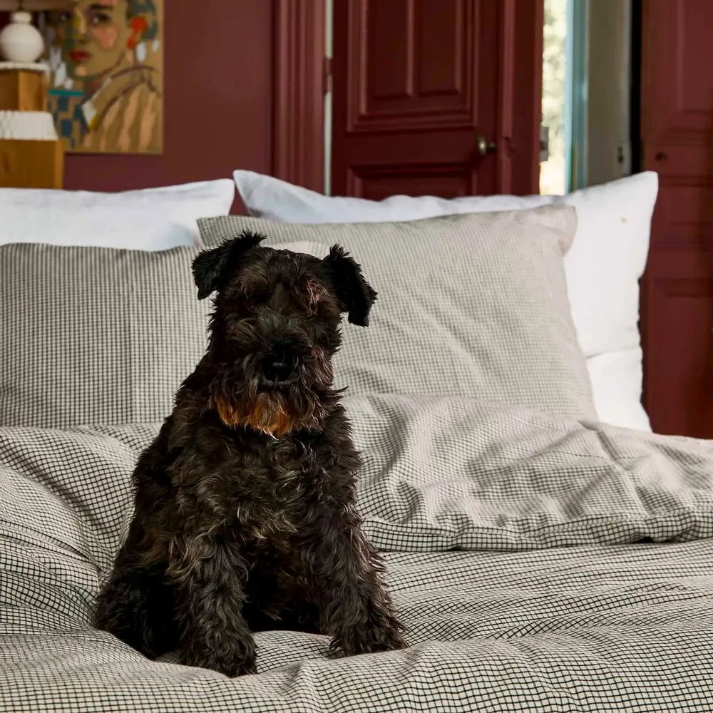 Bed linens - Gustave Duvet Cover Gustave Caviar 220 X 240 - LA CERISE SUR LE GATEAU