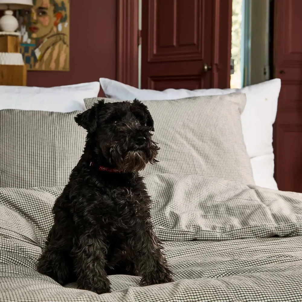 Linge de lit - Taie d'oreiller Gustave Caviar 70 x 50 - LA CERISE SUR LE GATEAU