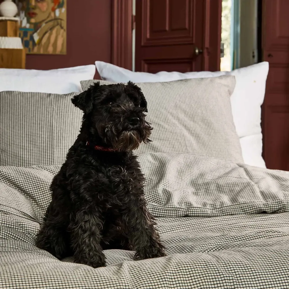 Bed linens - Gustave Pillowcase Gustave Caviar 65 X 65 - LA CERISE SUR LE GATEAU