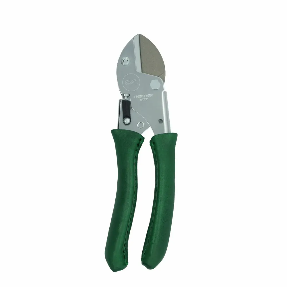 Garden accessories - Dragon Tree - CHOP CHOP BLOOM