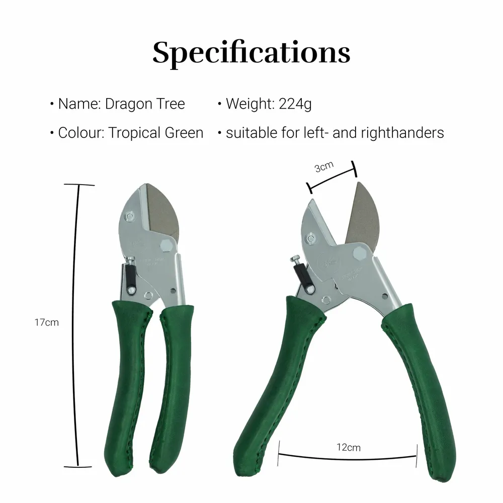 Garden accessories - Dragon Tree - CHOP CHOP BLOOM