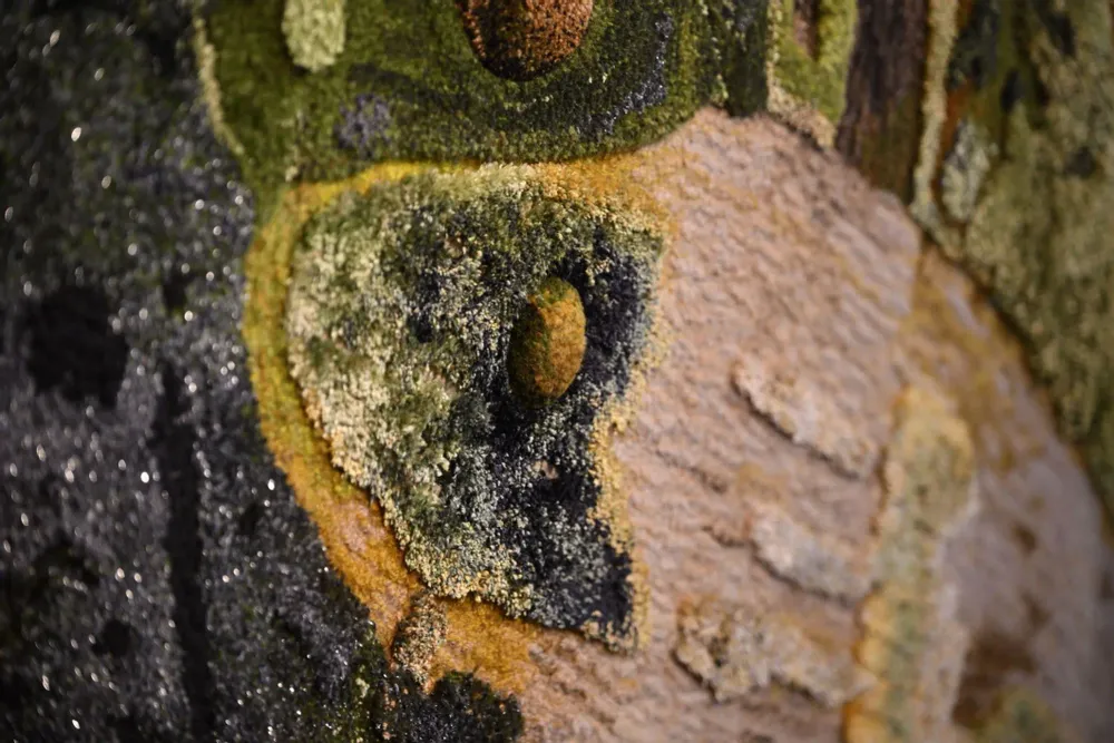 Bespoke carpets - Custom Made Hand Tufted Carpet by Tai Ping Carpets - LUMINANCE BY SIMON YAM