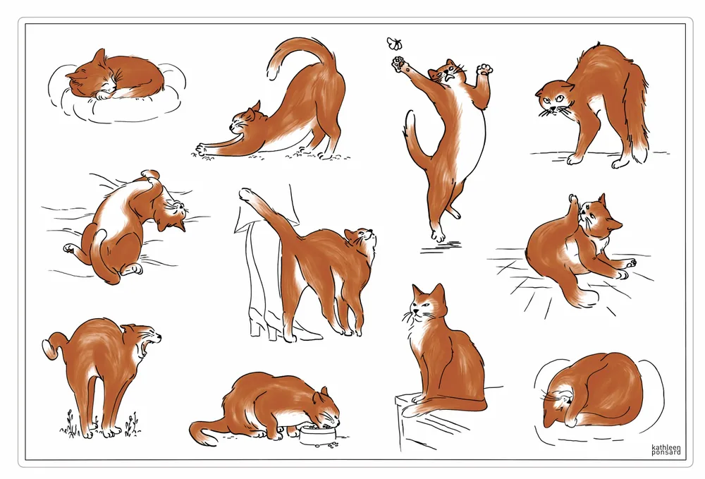 Nappes - Set de table Journée du chat Assortis 30 x 45 - MAISON VIVARAISE - SDE VIVARAISE WINKLER