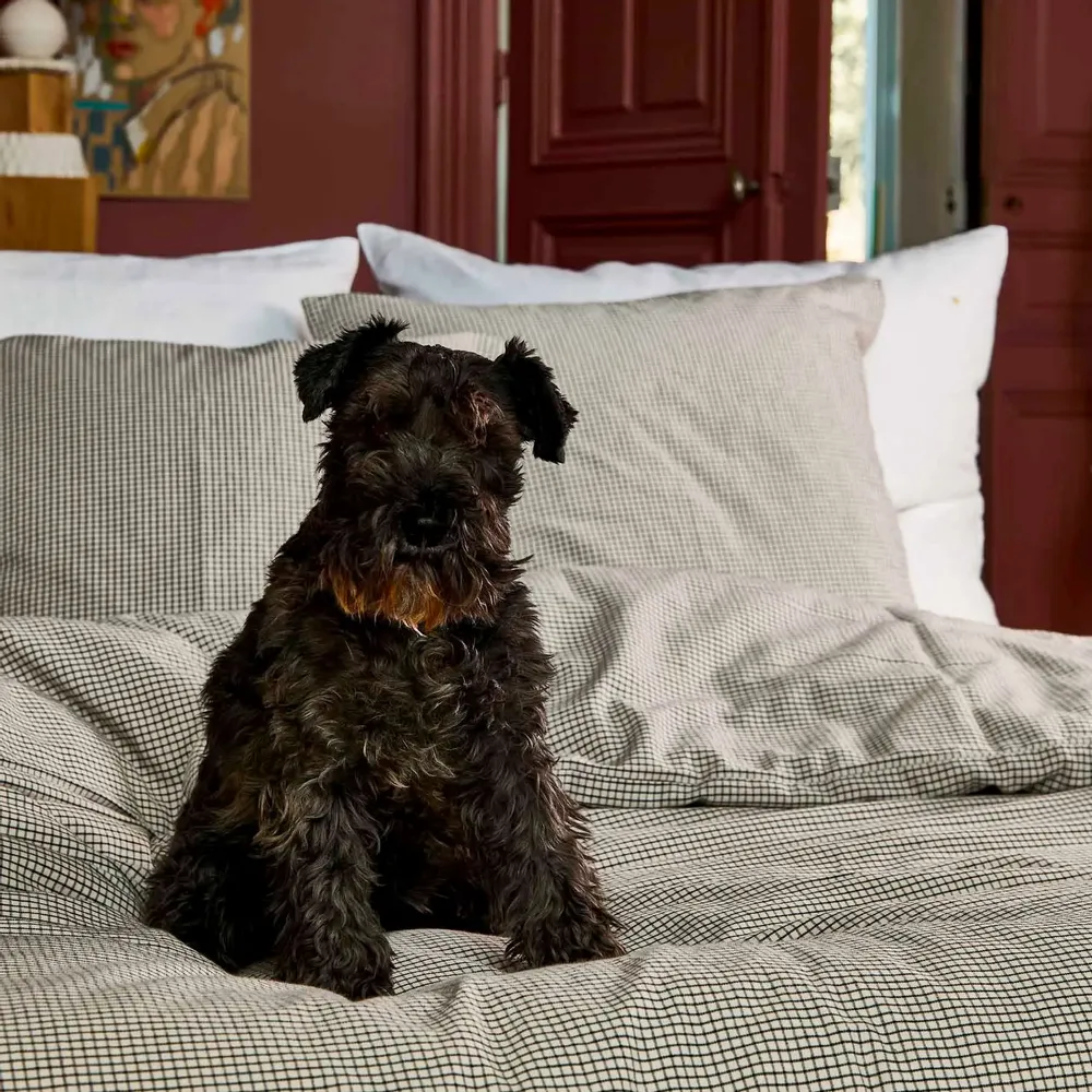 Linge de lit - Housse de couette Gustave Caviar 200 x 140 - LA CERISE SUR LE GATEAU