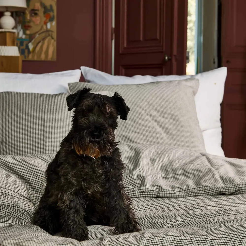 Bed linens - Gustave Duvet Cover Gustave Caviar 240 X 260 - LA CERISE SUR LE GATEAU