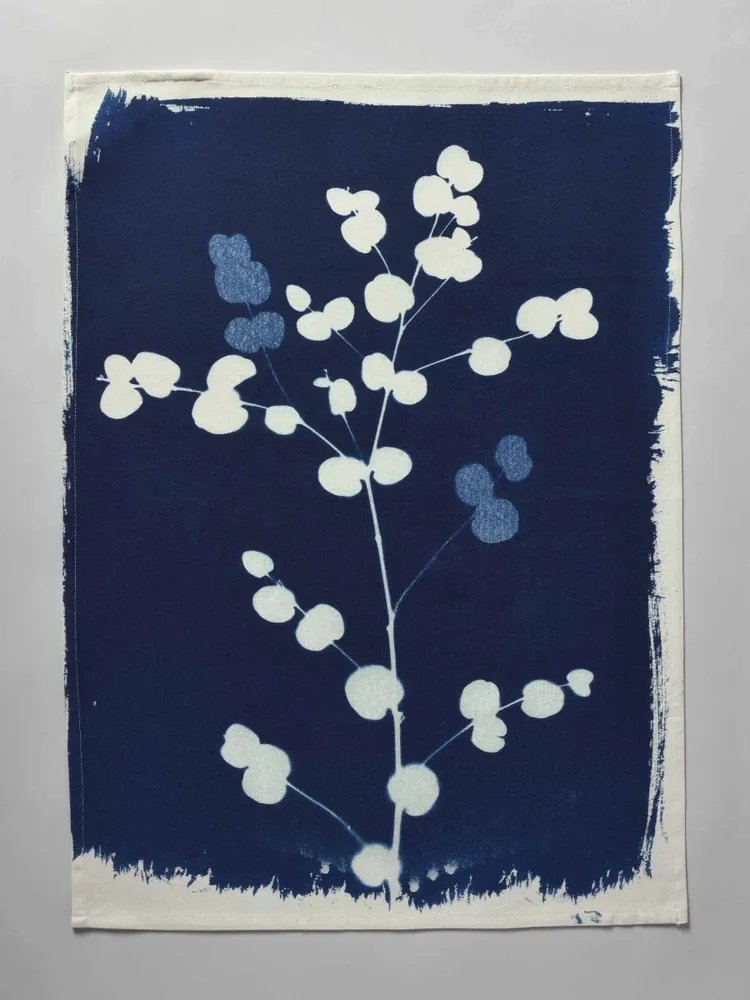 Torchons - Torchon Eucalyptus Bleu 70 x 50 - LA CERISE SUR LE GATEAU