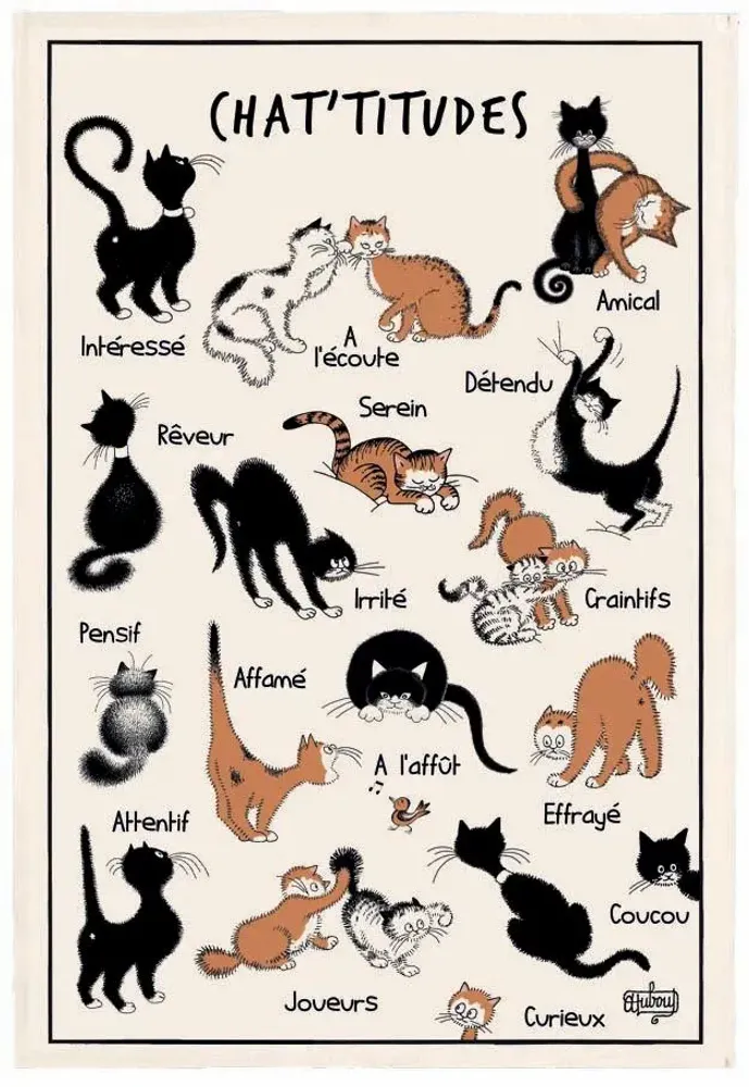 Torchons - Torchon Dubout Chat'tiudes Ecru 48 x 72 - MAISON VIVARAISE - SDE VIVARAISE WINKLER