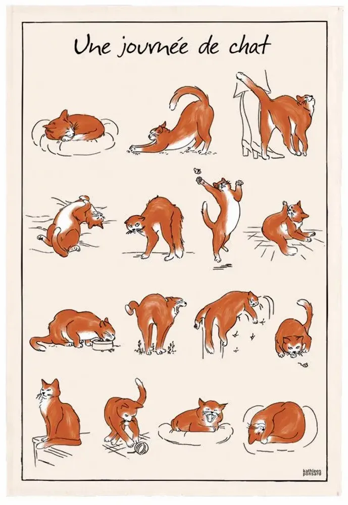 Torchons - Torchon Imprime Journée de Chat Ecru 48 X 72 - MAISON VIVARAISE - SDE VIVARAISE WINKLER
