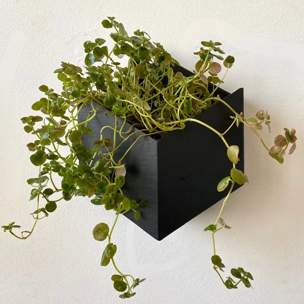 Window boxes - Natural slate wall hexagonal planter, 25/22/12.5 cm, HEXA2 - ARDOISE DESIGN