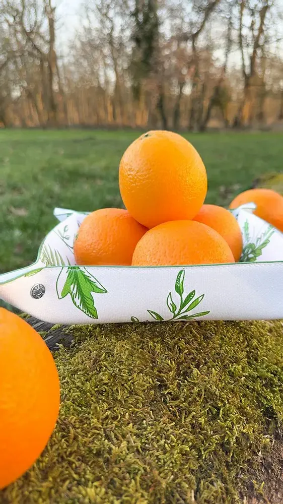 Other office supplies - Button Snap Tray - Forêt Secrète - PARESSE PARIS