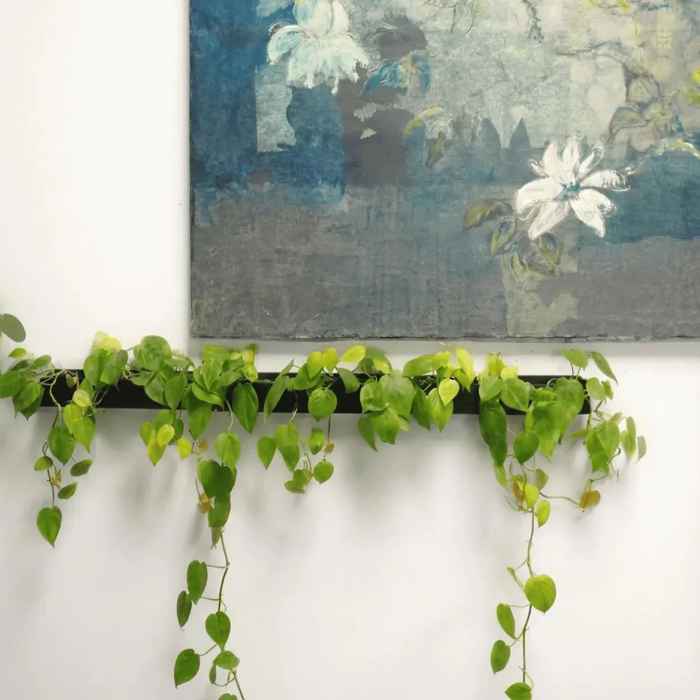 Window boxes - LE TRAIT, Natural Slate Wall Planter - ARDOISE DESIGN