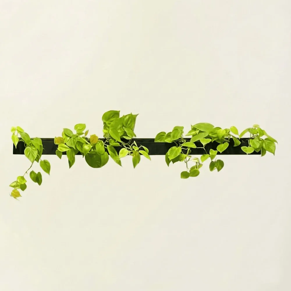 Window boxes - LE TRAIT, Natural Slate Wall Planter - ARDOISE DESIGN