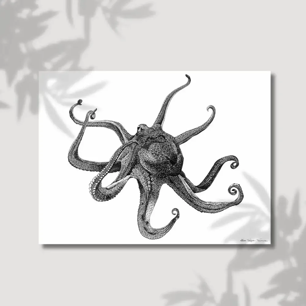 Affiches - La Pieuvre - LISON TRÉPOS-TANNEAU
