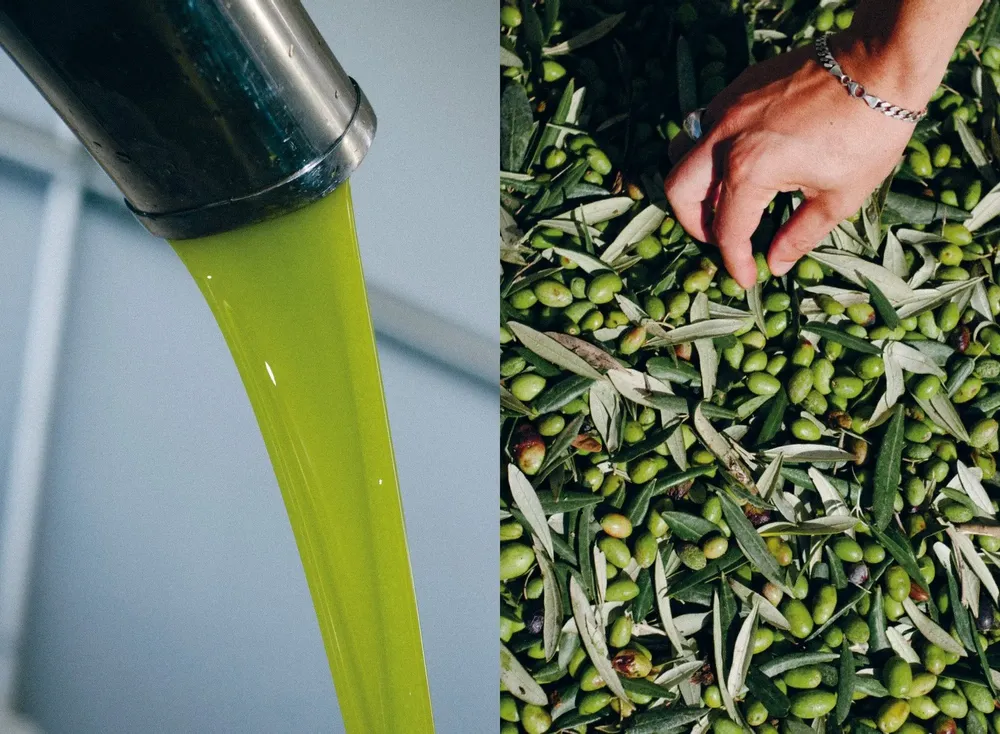 Decorative objects - Olive Oil - NEW MAGS