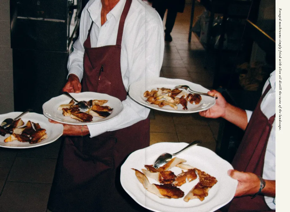 Decorative objects - Olive Oil - NEW MAGS