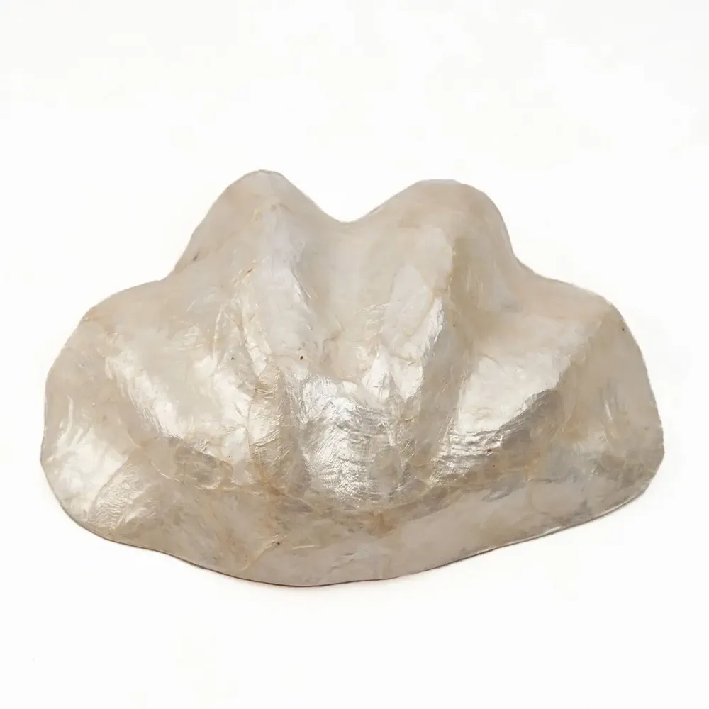 Soap dishes - The Mother of Pearl Soap Dish - White - S - BAZAR BIZAR LIVING