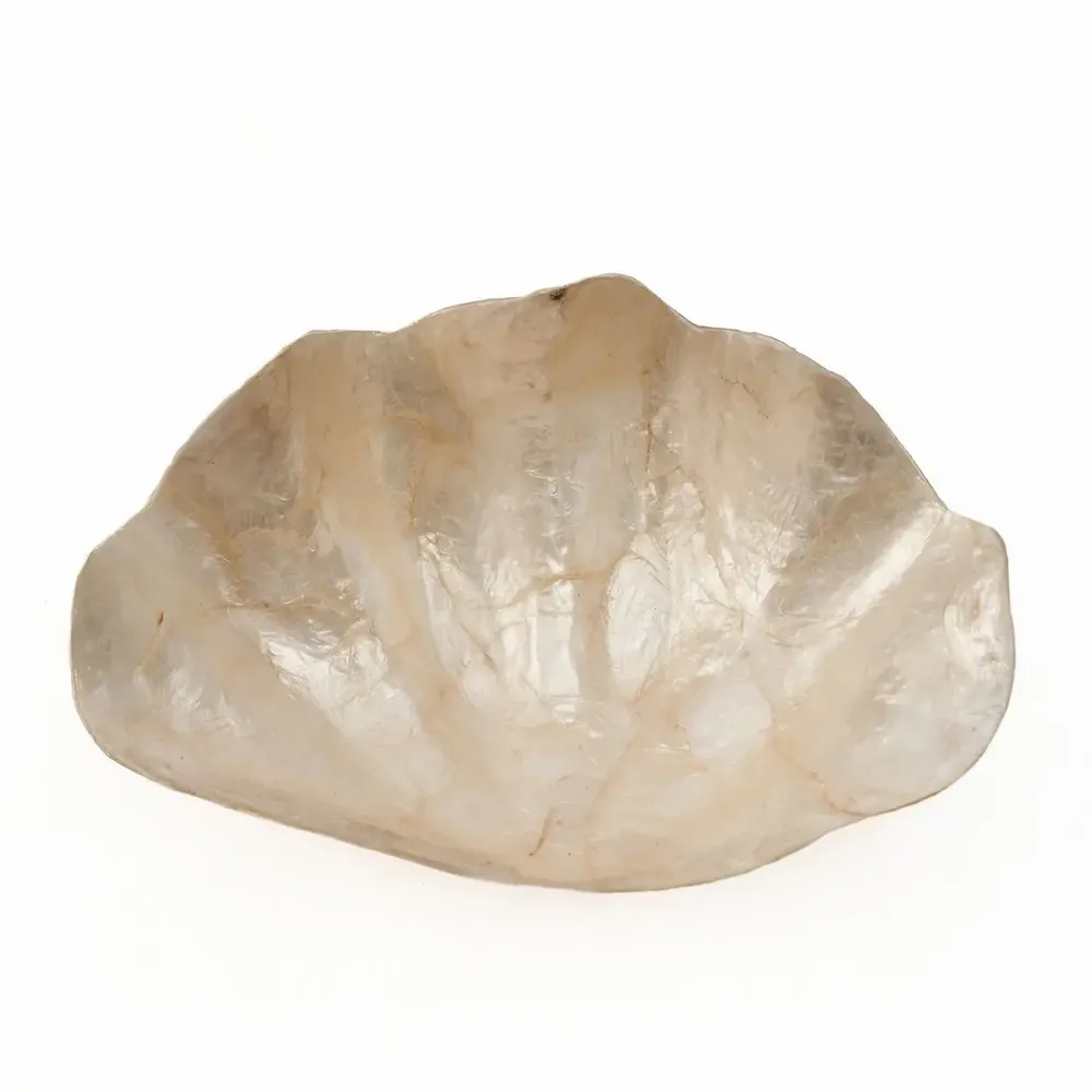 Soap dishes - The Mother of Pearl Soap Dish - White - S - BAZAR BIZAR LIVING