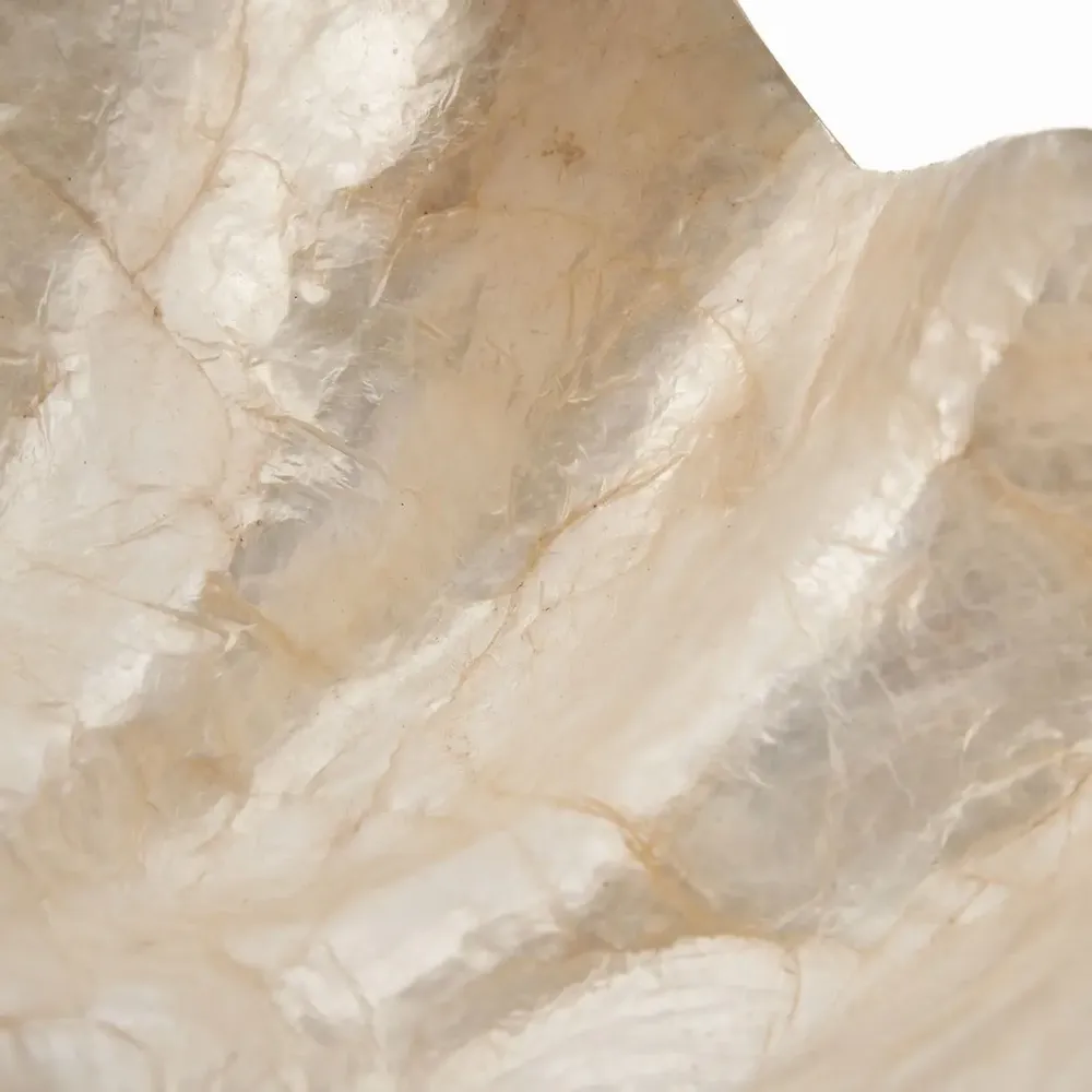 Soap dishes - The Mother of Pearl Soap Dish - White - S - BAZAR BIZAR LIVING