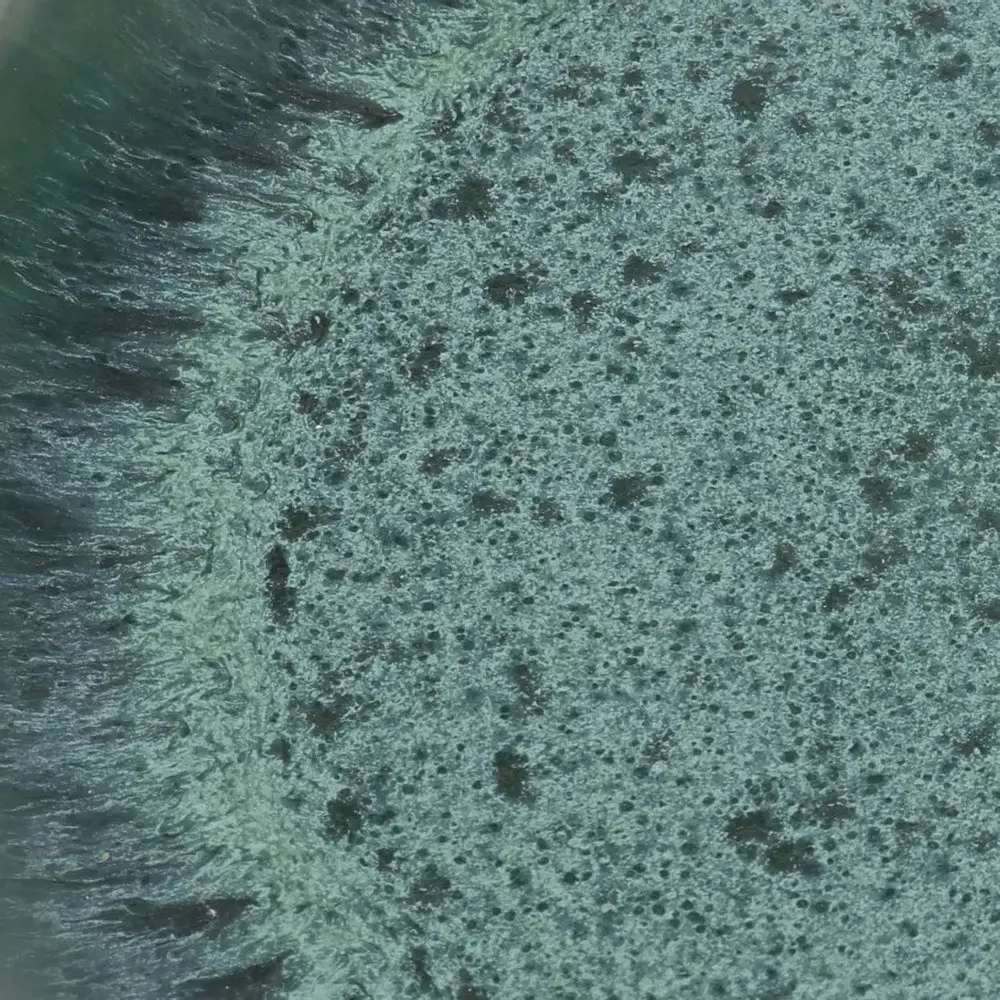 Assiettes au quotidien - L’Assiette À Salade Aqua - BAZAR BIZAR LIVING