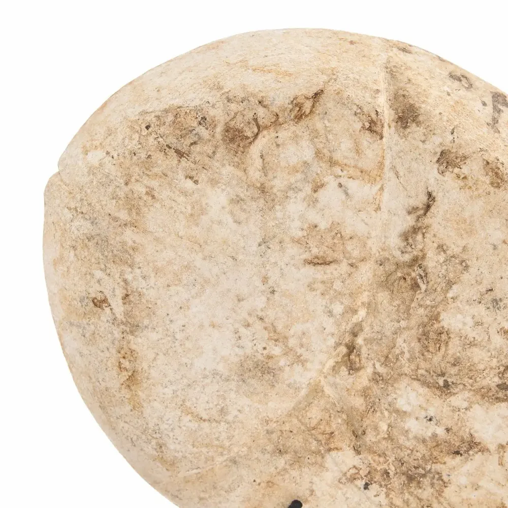 Objets de décoration - Le Fish Pierre Sur Support - S - BAZAR BIZAR LIVING