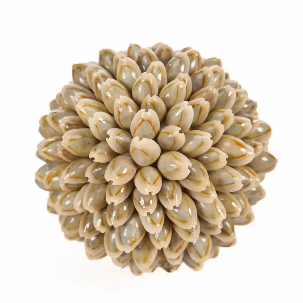 Objets de décoration - La Oluolu Shell Balle - S - BAZAR BIZAR LIVING