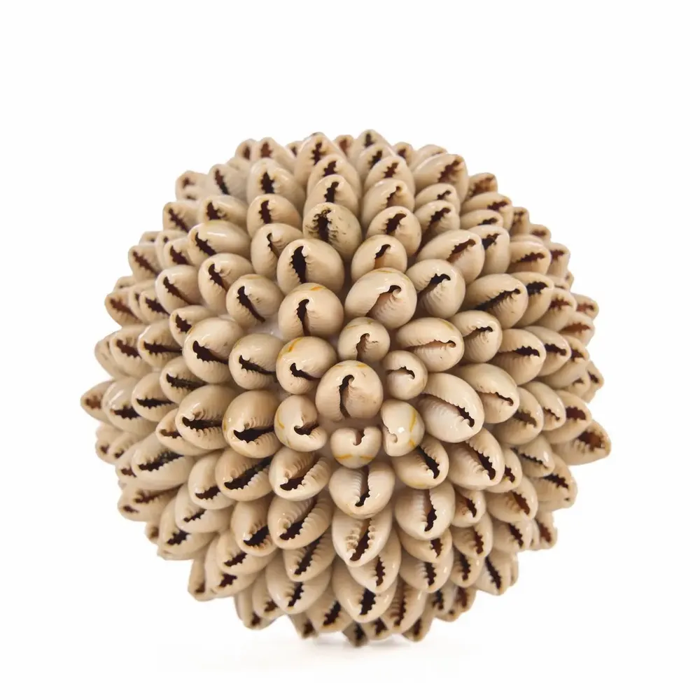 Objets de décoration - La Oluolu Shell Balle - S - BAZAR BIZAR LIVING