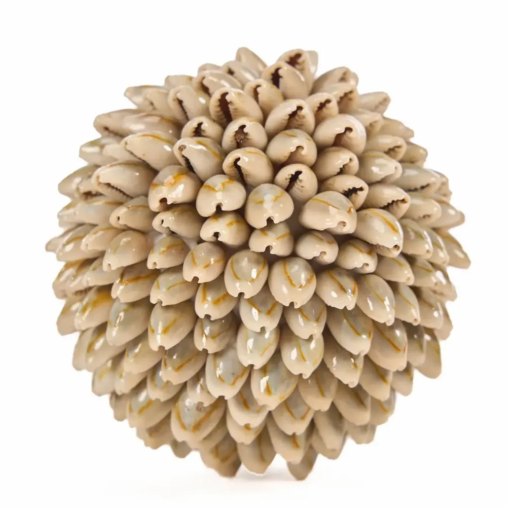 Objets de décoration - La Oluolu Shell Balle - S - BAZAR BIZAR LIVING