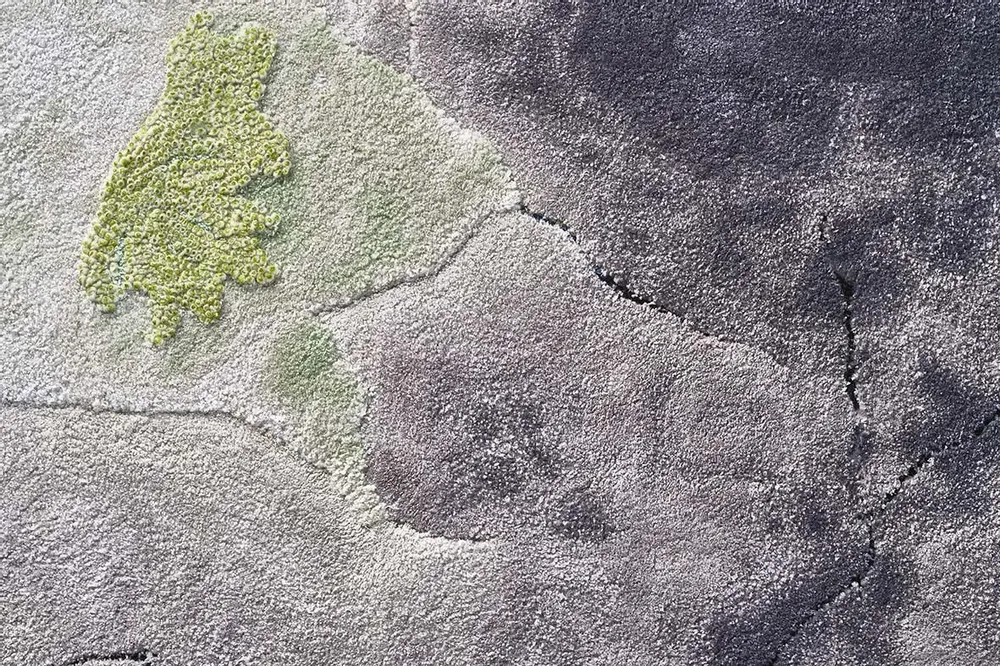 Tapis design - Tapis sur mesure - MAISON THIA