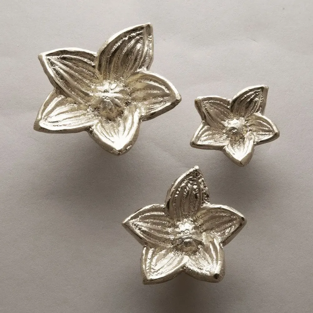 Decorative Ironwork - AMARYLLIS Cabinet pull - OBJET INSOLITE