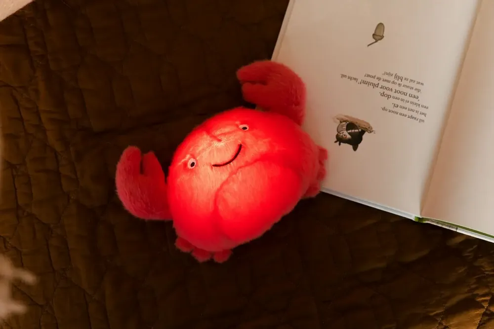 Accessoires enfants - AP Junior | Colette, Theo & d'autres personnages mignons arrivent ! - AP JUNIOR