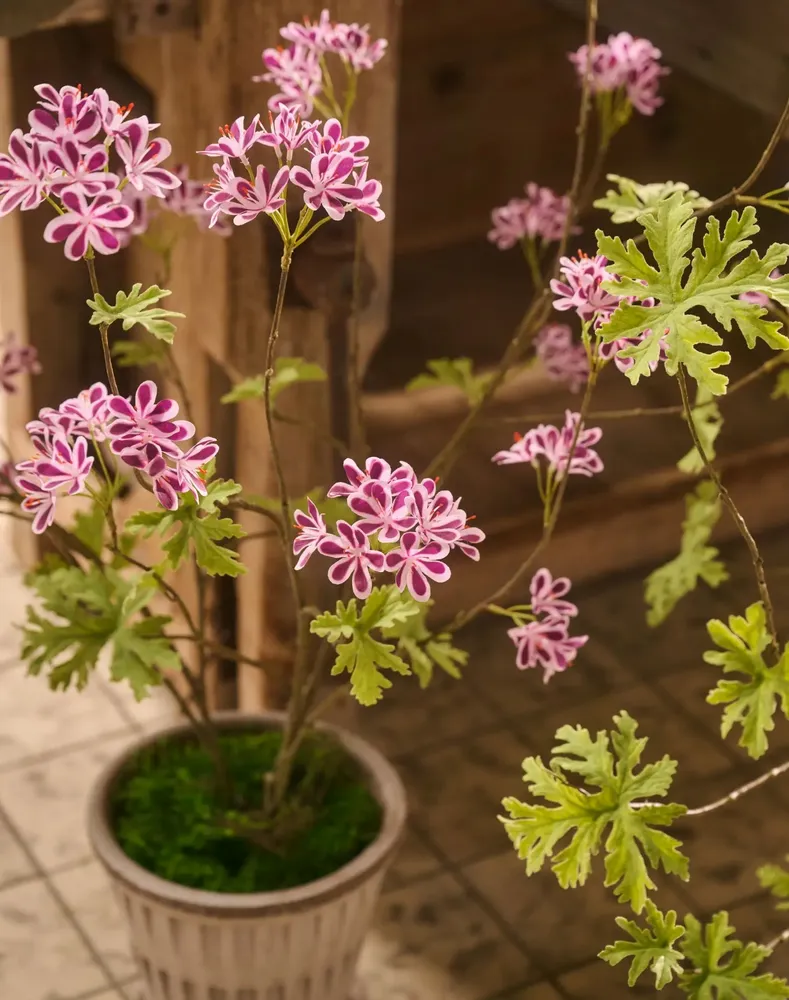 Décorations florales - Point fort de la tendance : les géraniums modernes - SILK-KA BV