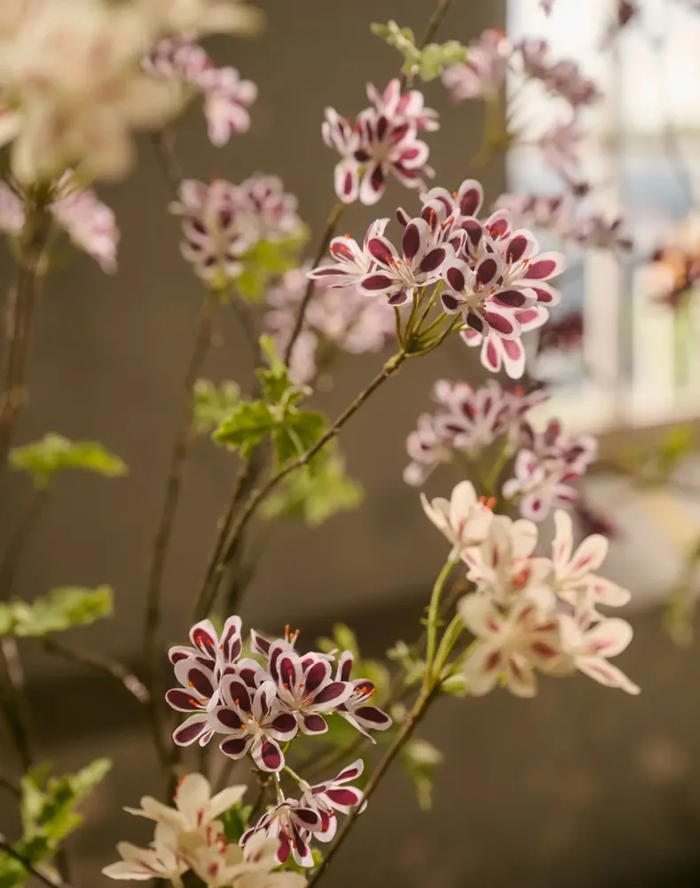 Décorations florales - Point fort de la tendance : les géraniums modernes - SILK-KA BV