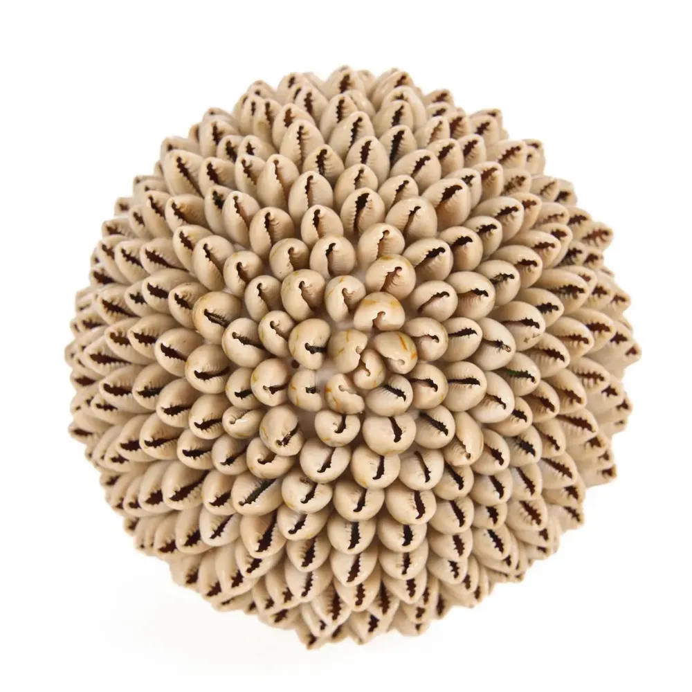 Objets de décoration - La Oluolu Shell Balle - L - BAZAR BIZAR LIVING