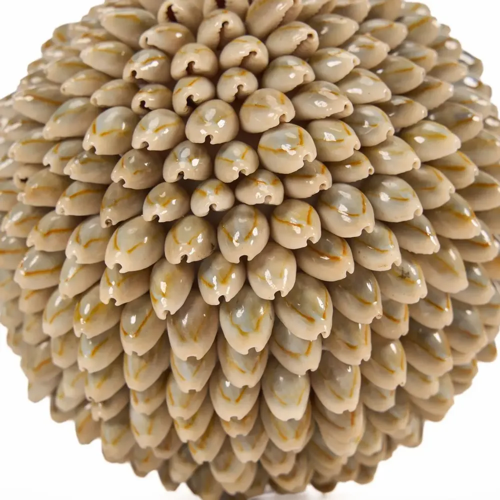 Objets de décoration - La Oluolu Shell Balle - L - BAZAR BIZAR LIVING