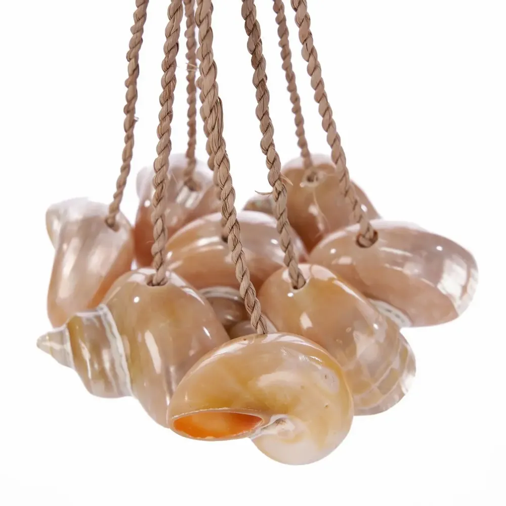 Autres décorations murales - Le Gland En Coquillages Conque - Naturel - BAZAR BIZAR LIVING