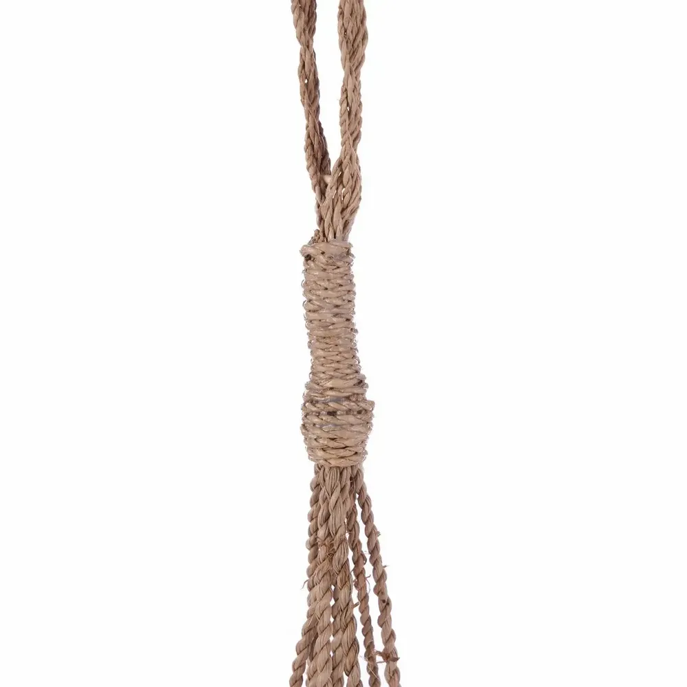 Autres décorations murales - Le Gland En Coquillages Conque - Naturel - BAZAR BIZAR LIVING