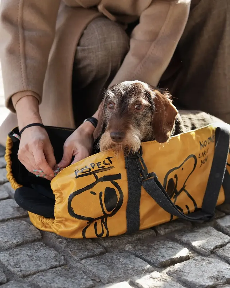 Accessoires animaux - Ugo Sac Shopping Édition Limitée - UGO