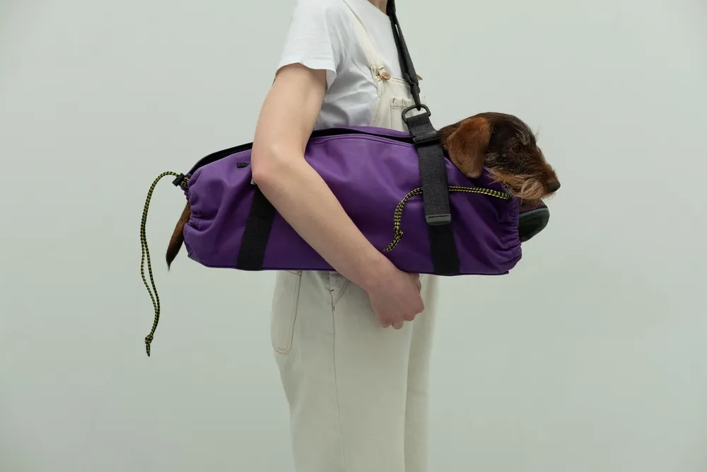 Accessoires animaux - Ugo City Bag - UGO