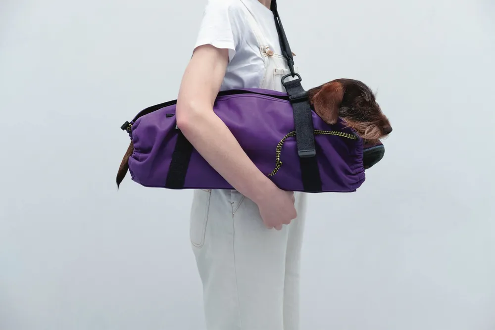 Accessoires animaux - Ugo City Bag - UGO