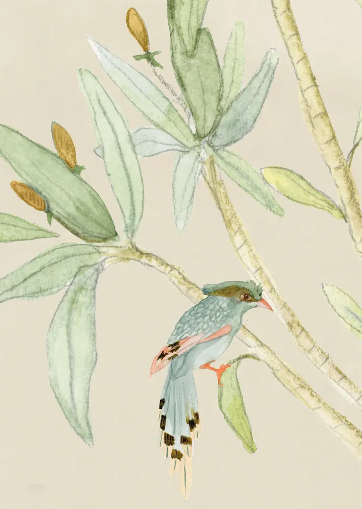 Wallpaper - Ubatuba panoramic wallpaper - KARIOKAS