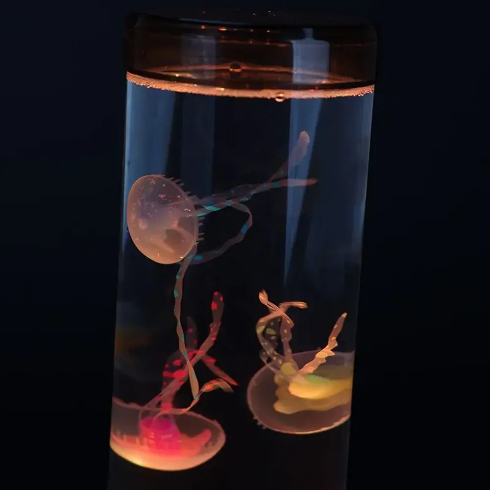 Objets de décoration - Lampe Méduses rétro éclairée - SEYNAVE